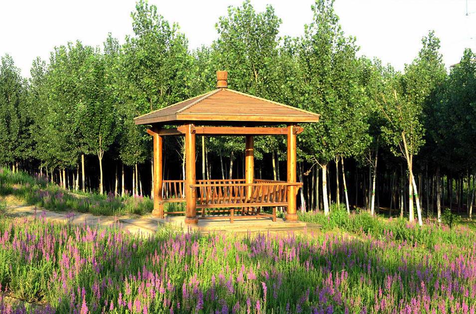 北辰郊野公園綠化養(yǎng)護(hù)